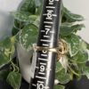 Gold in Quartz Ring - Lady RL1028Q - Image 6
