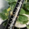 Gold in Quartz with a Diamond Ring - Lady RL1137DQ - Image 5