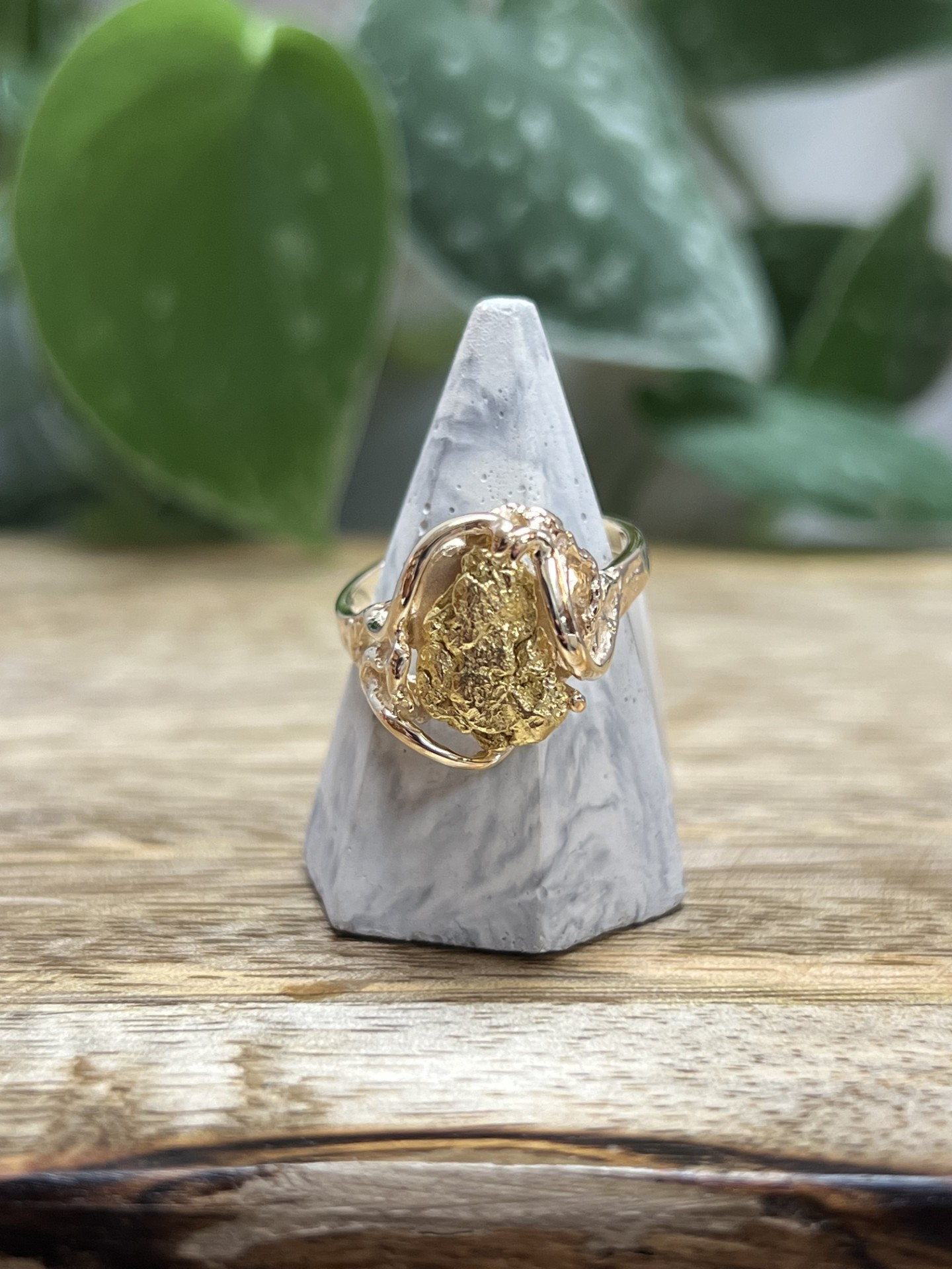 Natural Gold Nuggets mounted on 14KT Gold Ring RL232